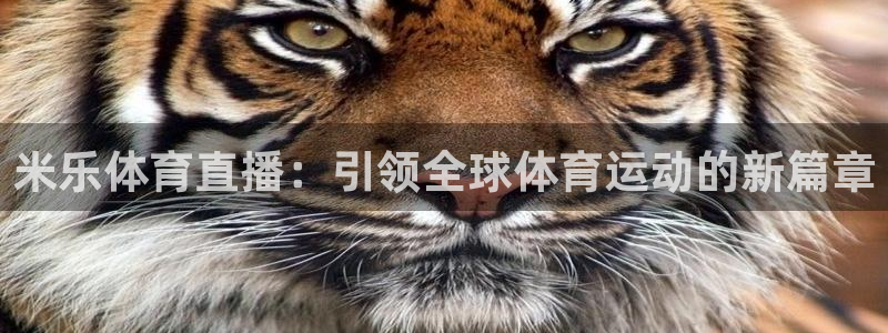 风暴娱乐登录地址：米乐体育直播：引领全球体育运动的新篇章