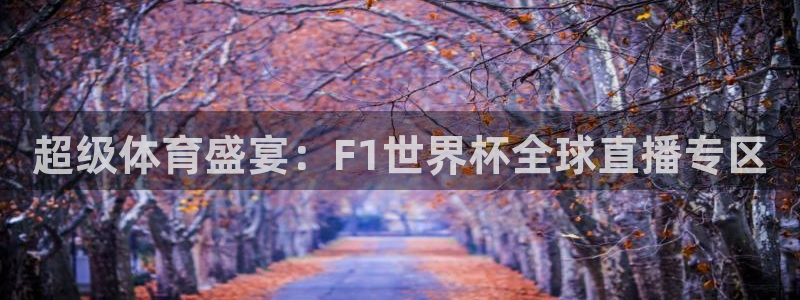 风暴娱乐在线登录注册：超级体育盛宴：F1世界杯全球直播专区