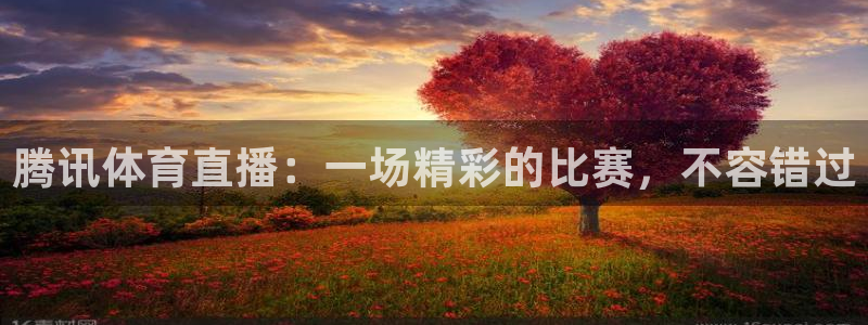 风暴娱乐代理：腾讯体育直播：一场精彩的比赛，不容错过