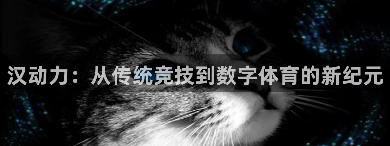 风暴娱乐入口：汉动力：从传统竞技到数字体育的新纪元