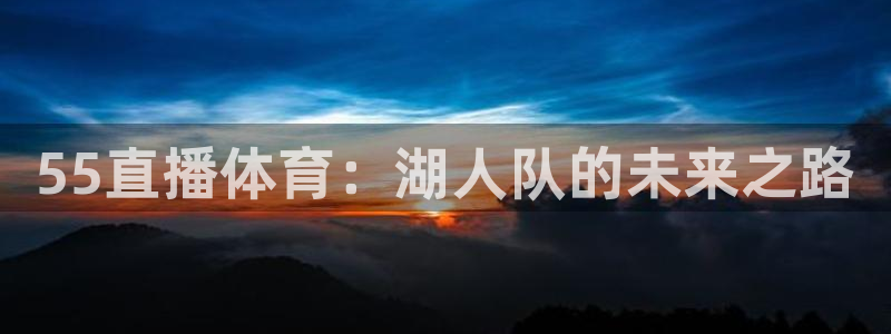 风暴娱乐下载：55直播体育：湖人队的未来之路