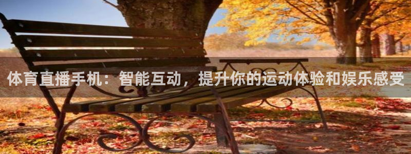 风暴娱乐地址：体育直播手机：智能互动，提升你的运动体验和娱乐感受