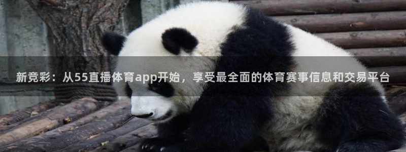 风暴娱乐登录地址：新竞彩：从55直播体育app开始，享受最全面的体育赛事信息和交易平台