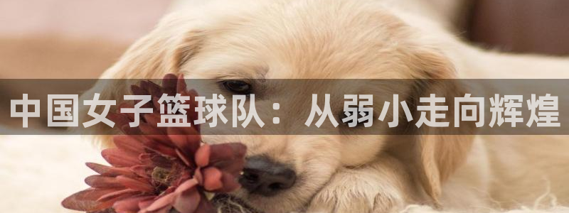 风暴娱乐：中国女子篮球队：从弱小走向辉煌