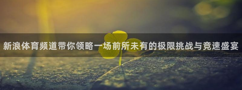 风暴娱乐登录：新浪体育频道带你领略一场前所未有的极限挑战与竞速盛宴