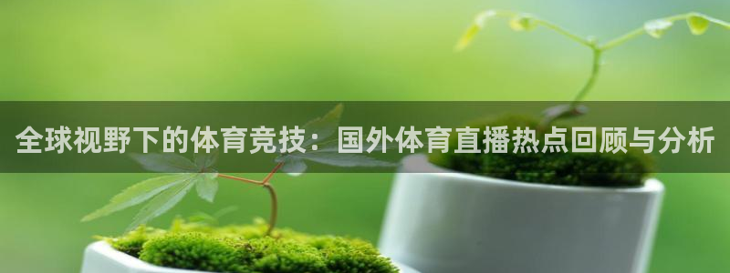 风暴娱乐官网：全球视野下的体育竞技：国外体育直播热点回顾与分析